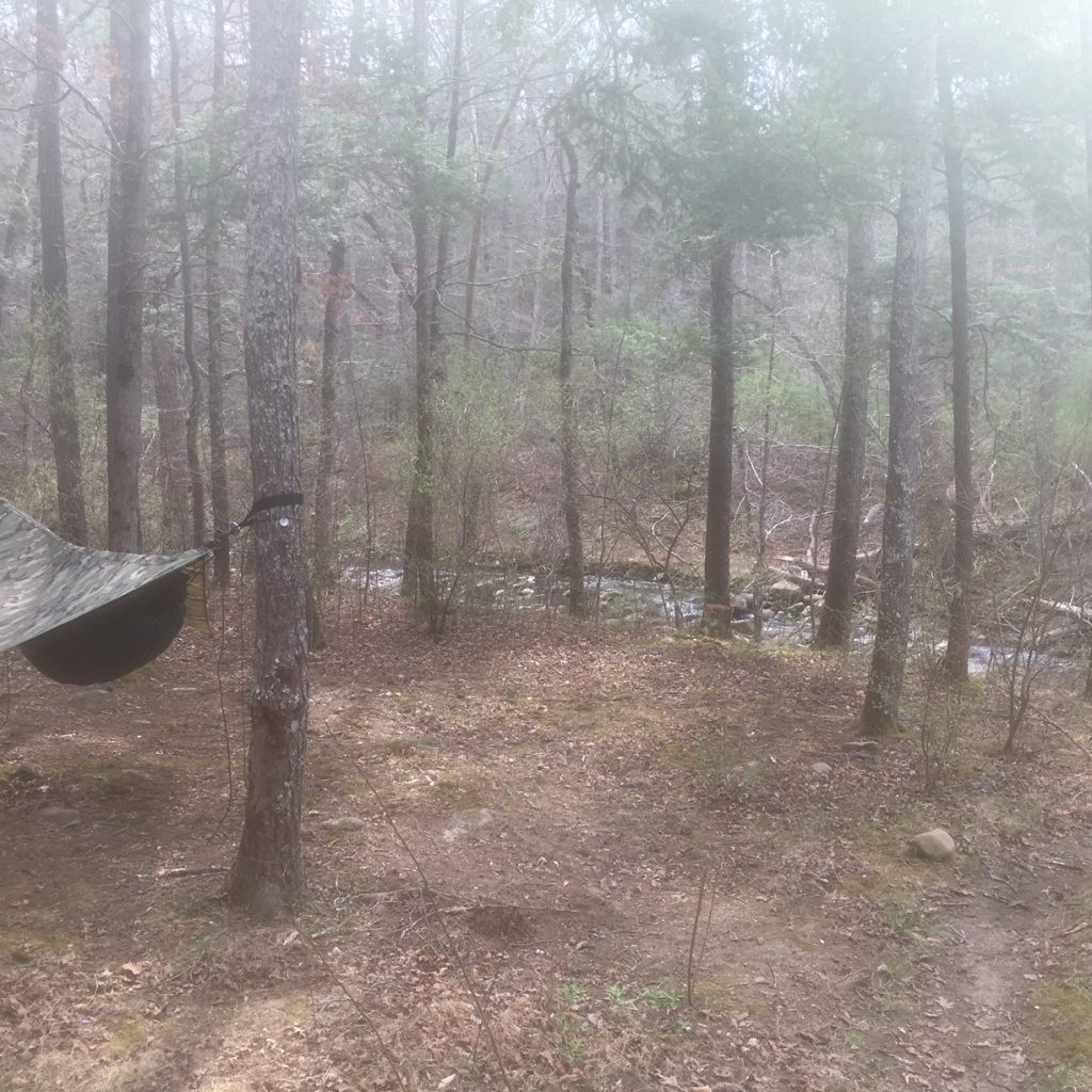 the hammock by North Creek